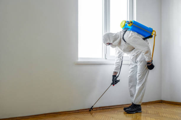 Best Fumigation Services  in Westlake, OH